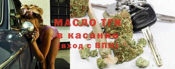 твердый Дмитриев