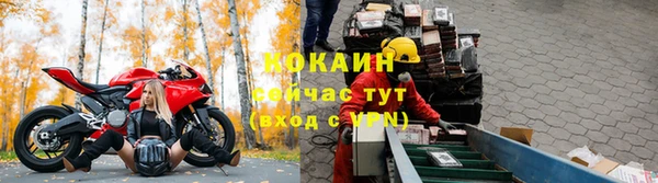 твердый Дмитриев