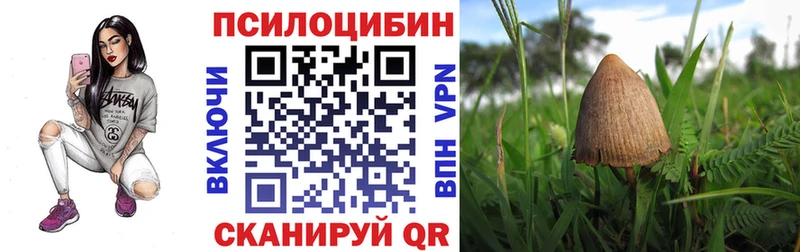 Галлюциногенные грибы GOLDEN TEACHER  закладки  Отрадный 