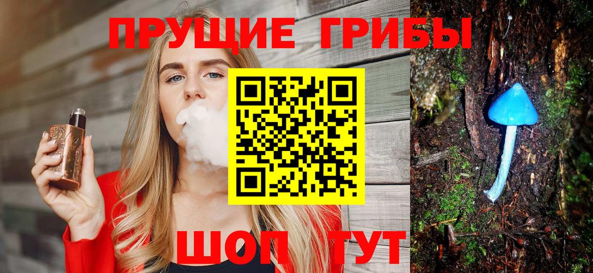 Отрадный  Псилоцибиновые грибы Cubensis  Вход с VPN 